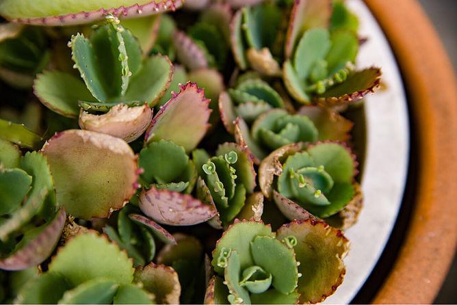 母親学級、ミニカンガルー（ママと赤ちゃんの集い）再開！