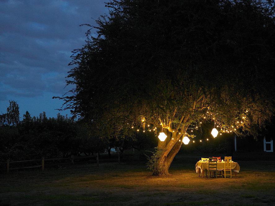 ナイトウォーキング🌛