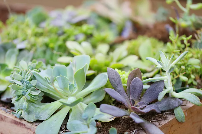 産む場所を見学する