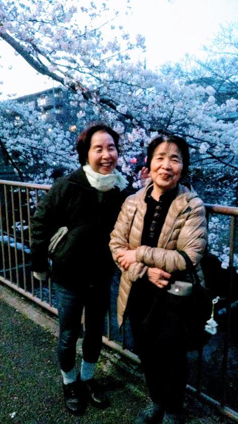 バースあおばのセブンルール！