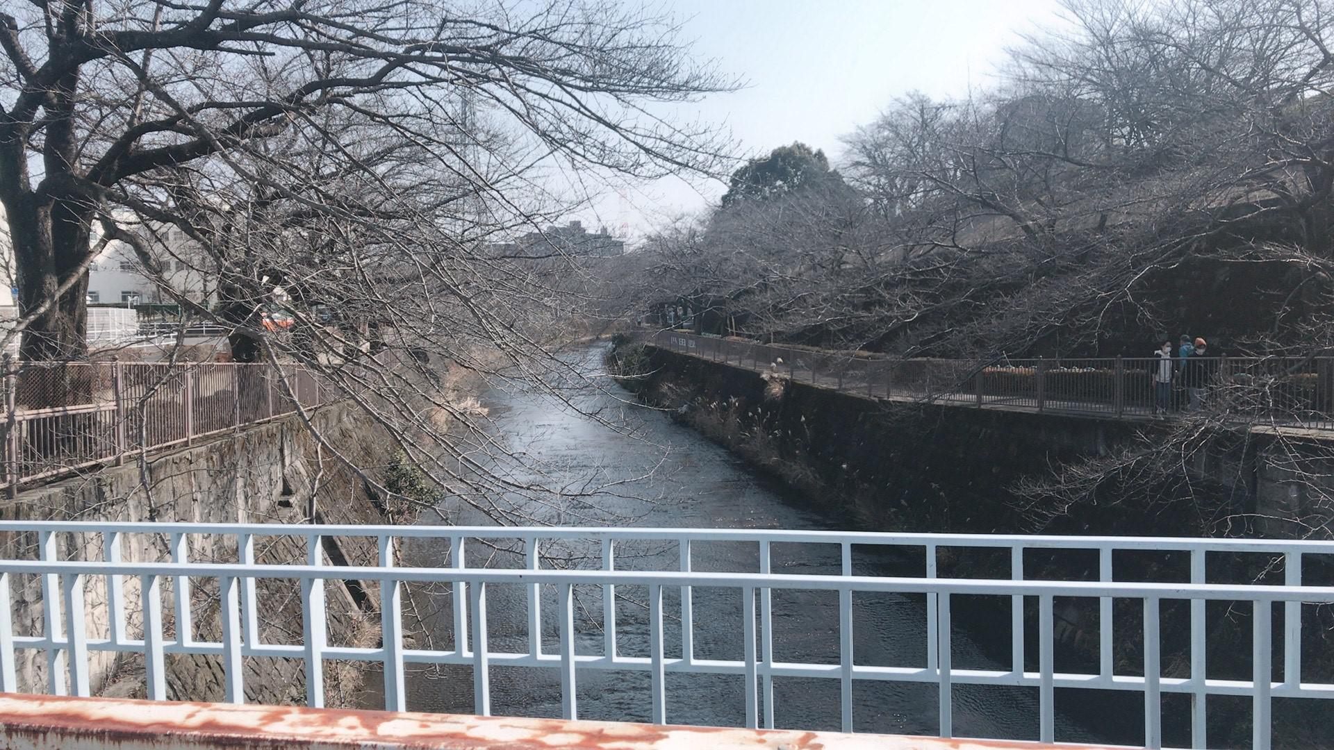 今年の春のみんなでウオーキングは近場で！