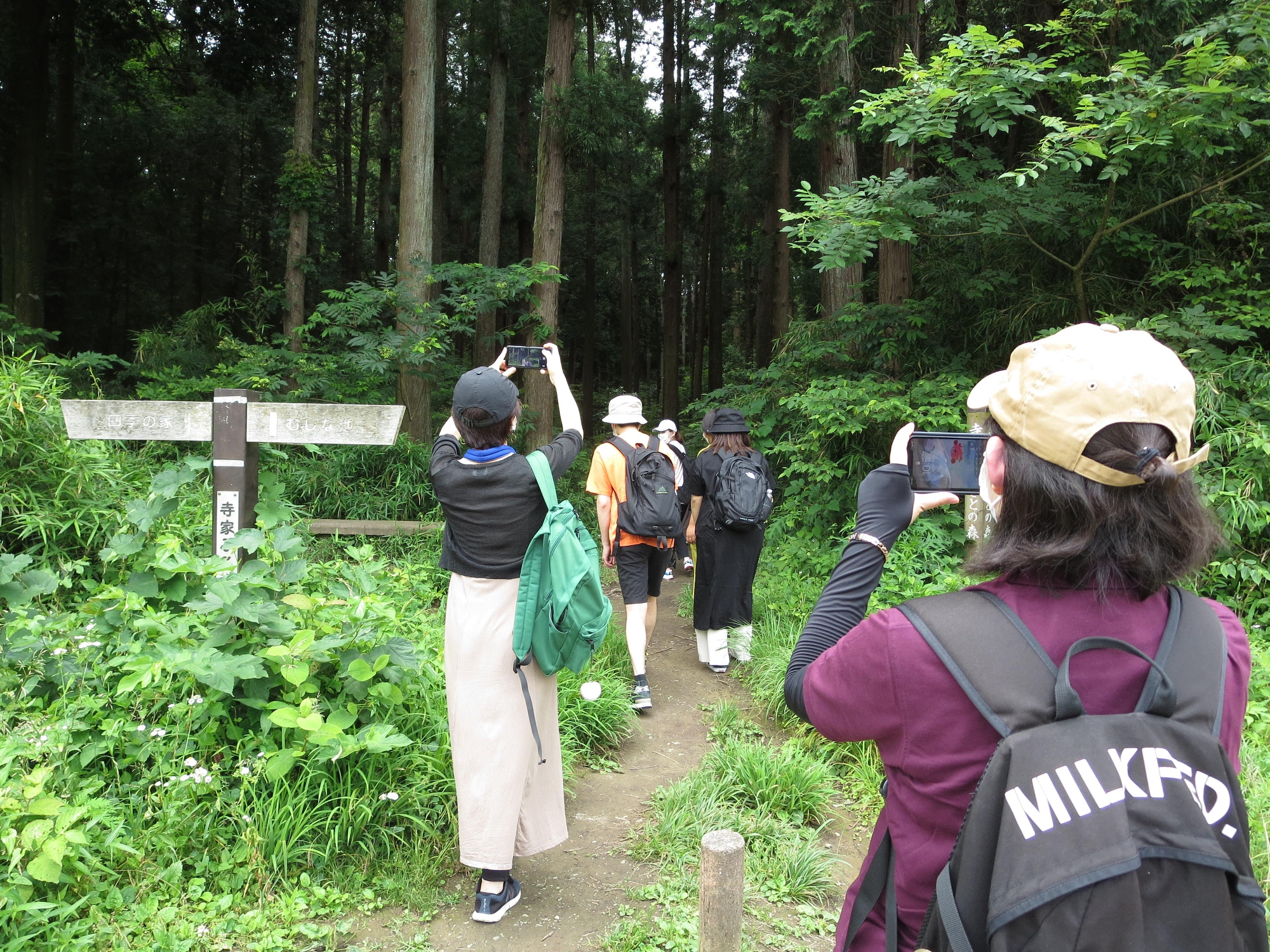 深緑のマタニティウオーキング