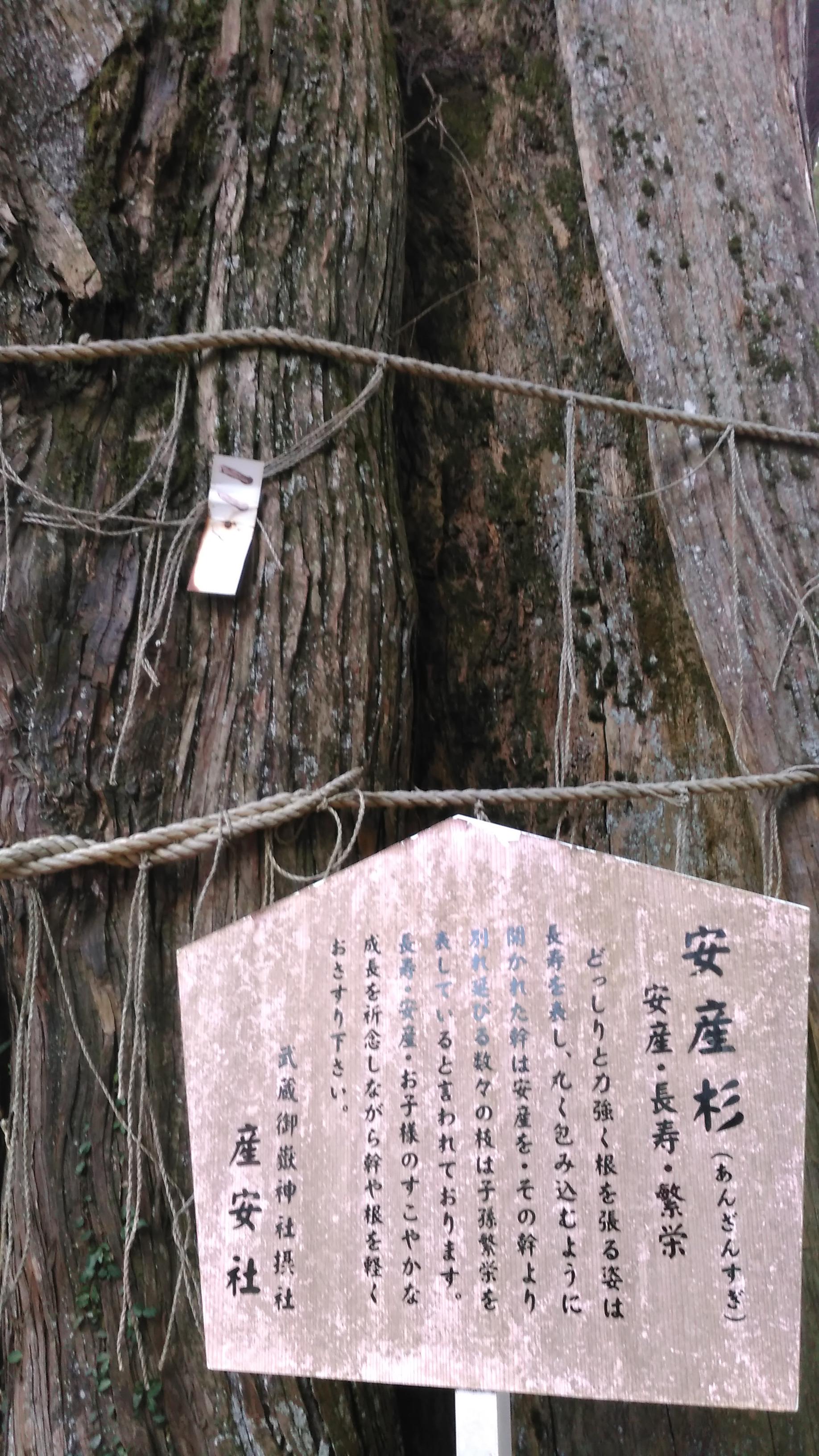 川崎市や相模原市や町田市からも