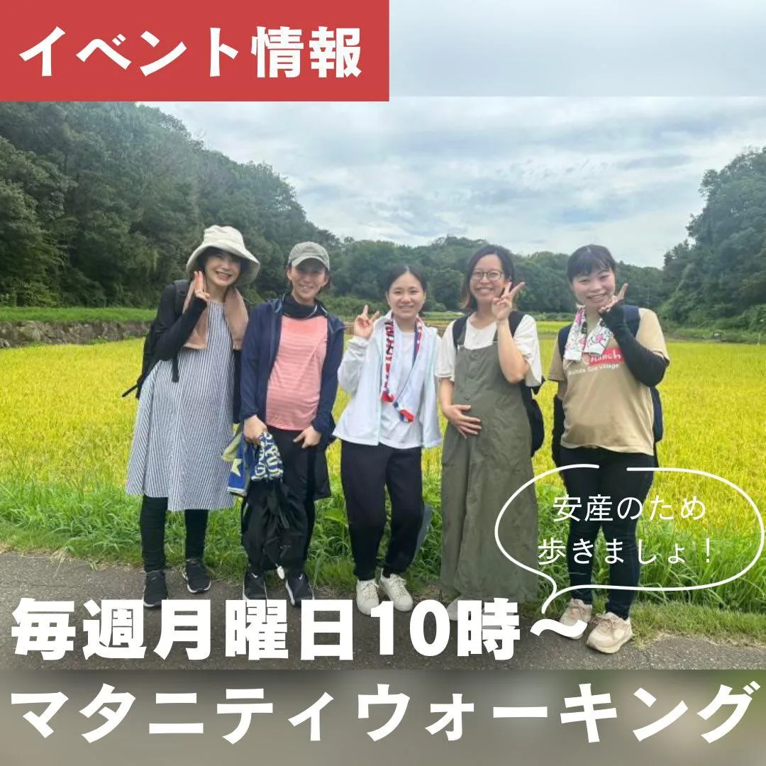 毎週月曜日のウオーキングは日中になりました。