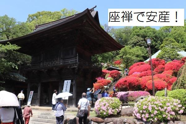 座禅で安産！6/13開催！